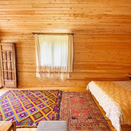 Hytte Arykandos Dag Evi